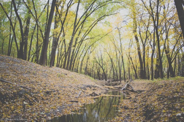 GNAT_Dirttowork_October17-6