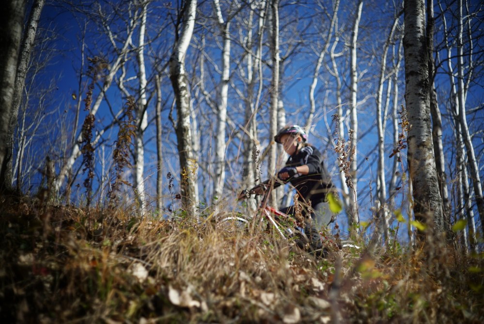 DSC00758_1.jpg image