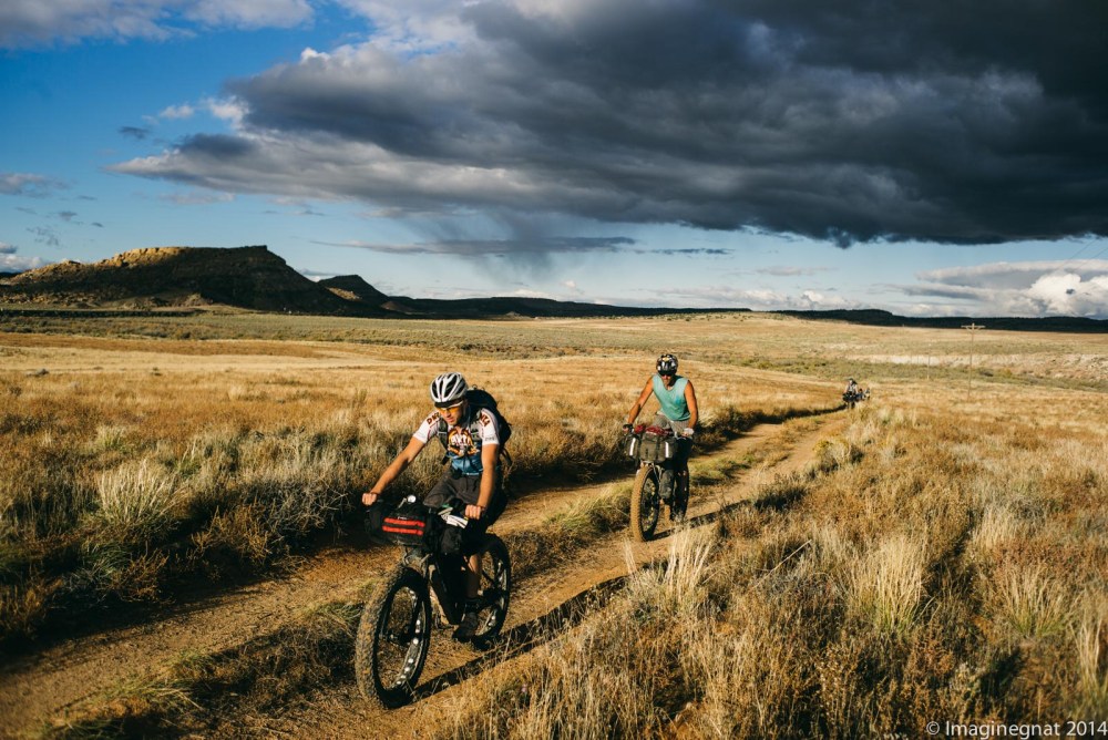 GNAT_DesertRamble_top10-2