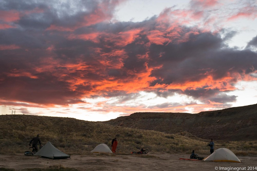 GNAT_DesertRamble_top10-5