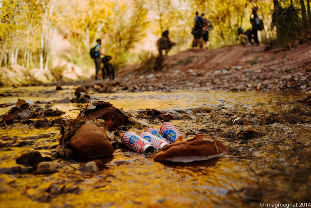 GNAT_DesertRamble_top10-8