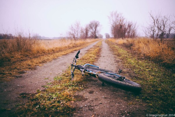 Gnat_35cron_coffeeoutside-3