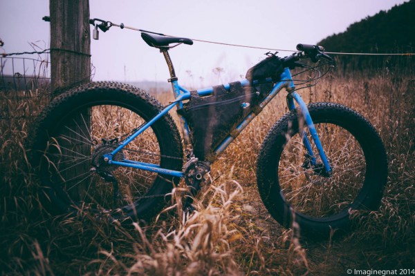 Gnat_35cron_coffeeoutside