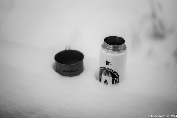 GNAT_Rivercrawling_-5