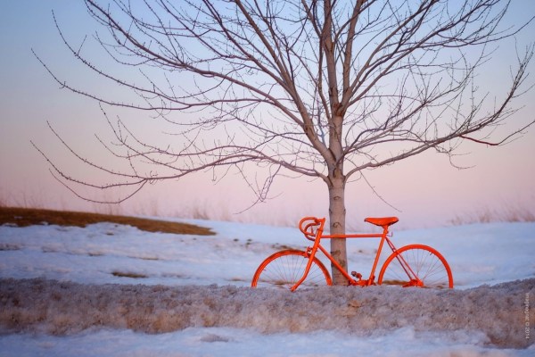 tumblr_n2con4x8T11r8xjlro1_1280