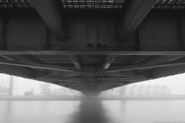 tumblr_n82f82Gl0J1r8xjlro3_1280