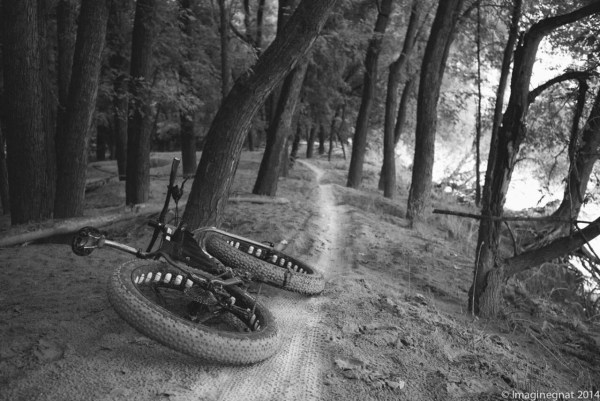 tumblr_naqh52dnhg1r8xjlro1_1280