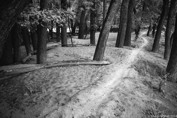 tumblr_nato7qZLdV1r8xjlro1_1280