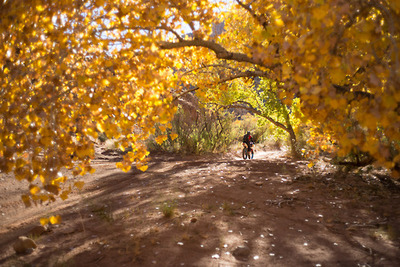 tumblr_nf7vifkNq81r8xjlro7_400