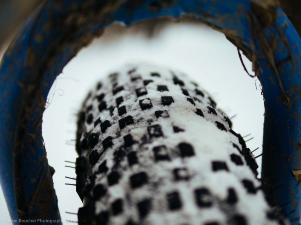 Gnat_Lapsatleb_2015-2