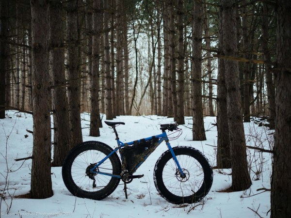 Gnat_Lapsatleb_2015-3