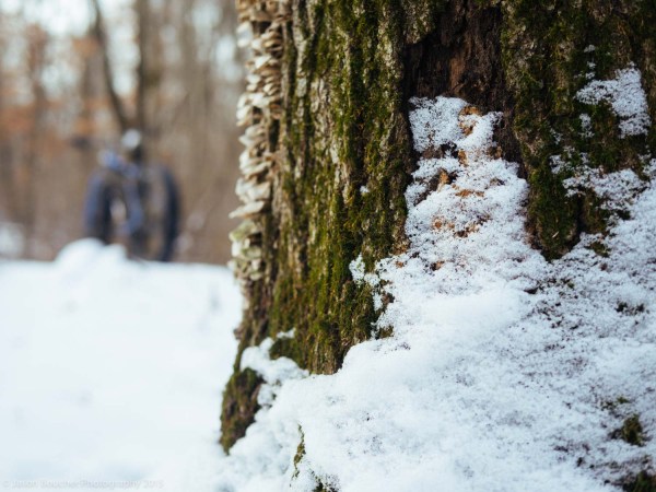 Gnat_Lapsatleb_2015-5