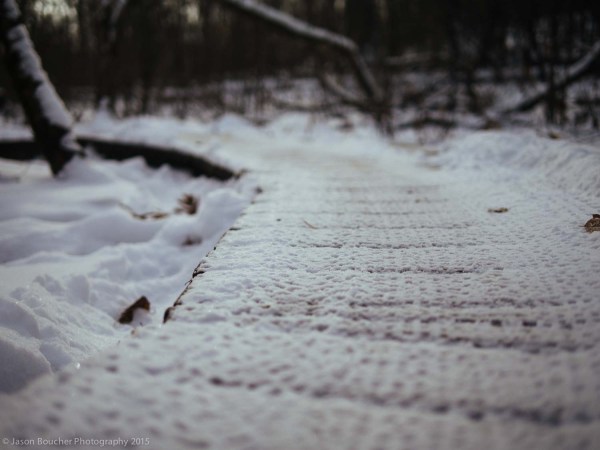 Gnat_Lapsatleb_2015-7