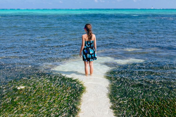 JWB_Gnatfamilyspringbreak2015_Tulum-4