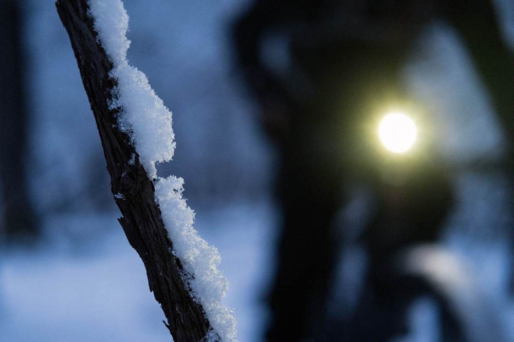 JasonBoucher_Winterwonderland_2-Exposure