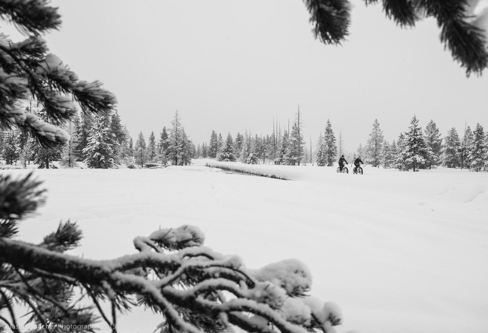 JasonBoucher_FujiX365_Xe1_3