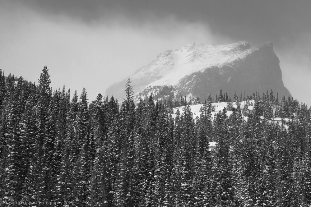 JasonBoucher_FujiX365_Xe1_6