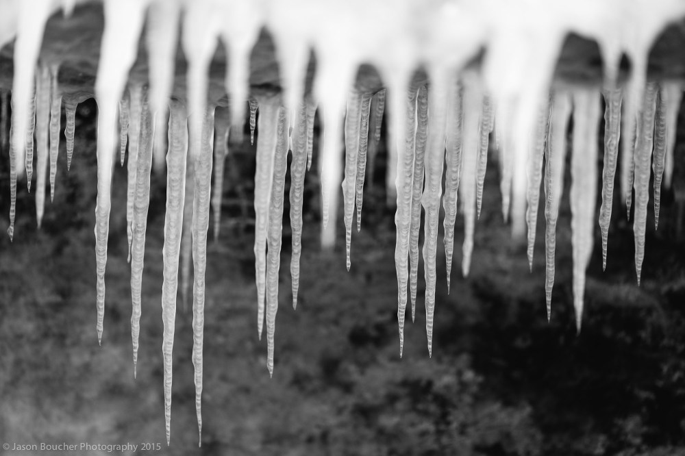 JWB_MNNORTHSHORE_feb2015-5