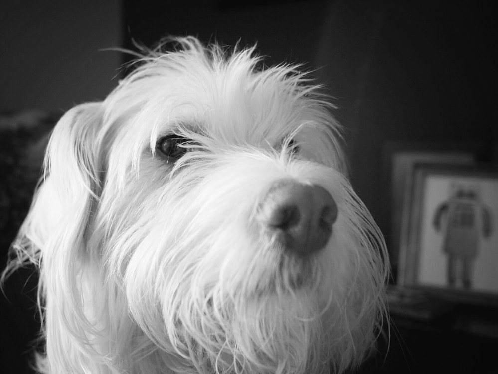 2016_0302_16525300-01.jpeg image