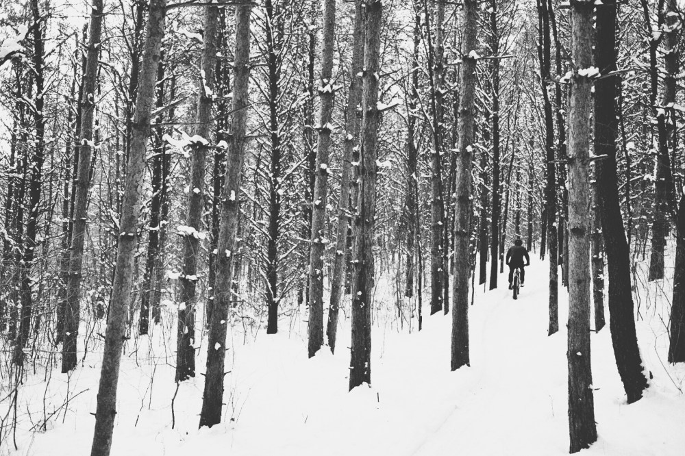 2016_0305_11254400-01.jpeg image