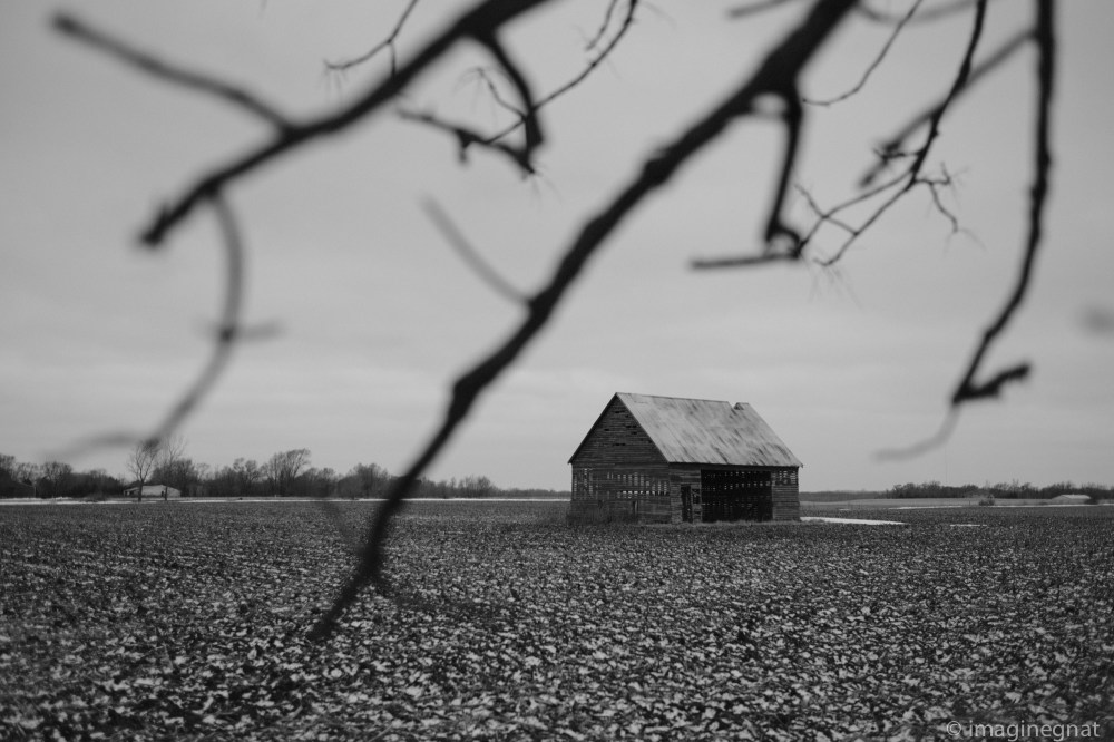 JasonBoucher_fragments_1stMonth_Xpro2_2