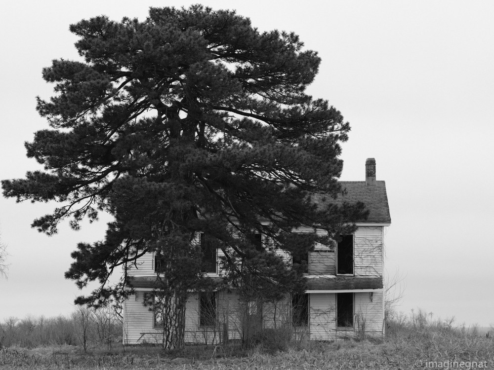 JasonBoucher_fragments_1stMonth_Xpro2_8