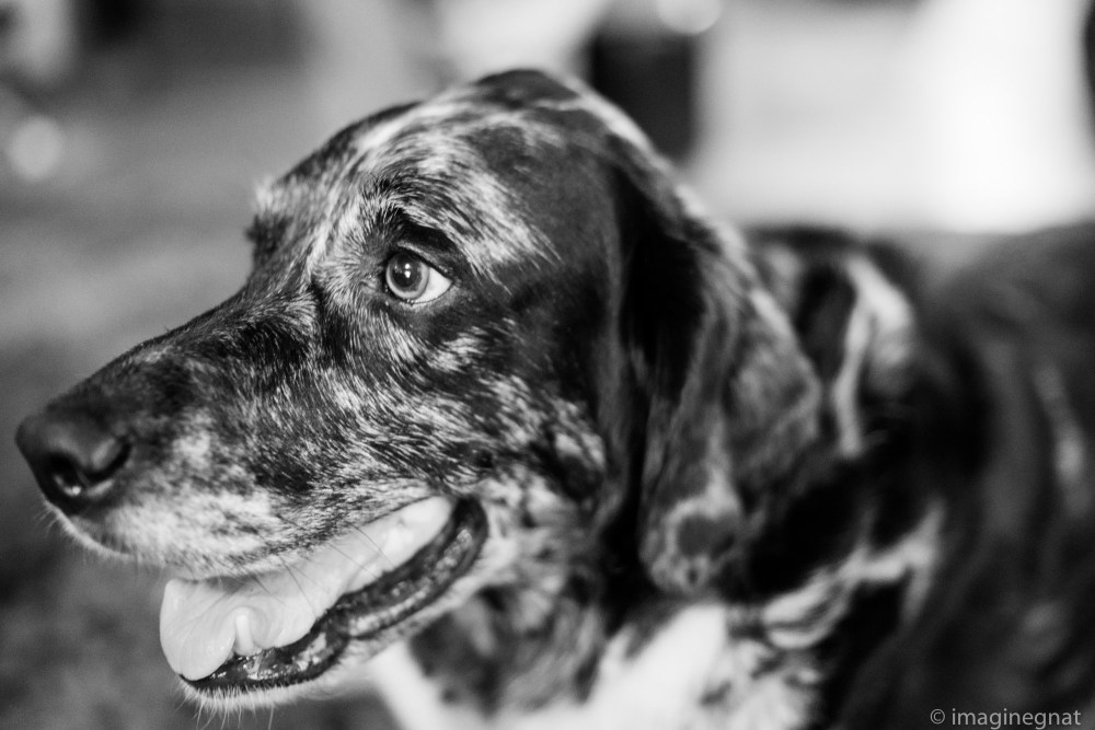 JasonBoucher_Grace&amp;Joy-4