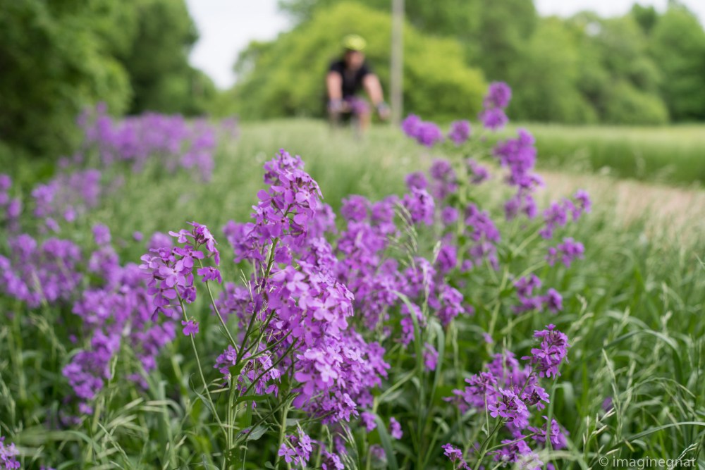 JasonBoucher_Pofahl-10