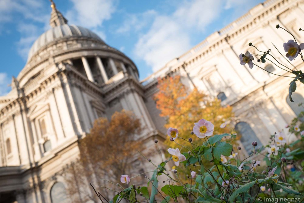 jasonboucher_london_2017-18