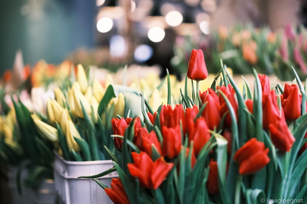 JasonBoucher_Seattle_Jan20-5